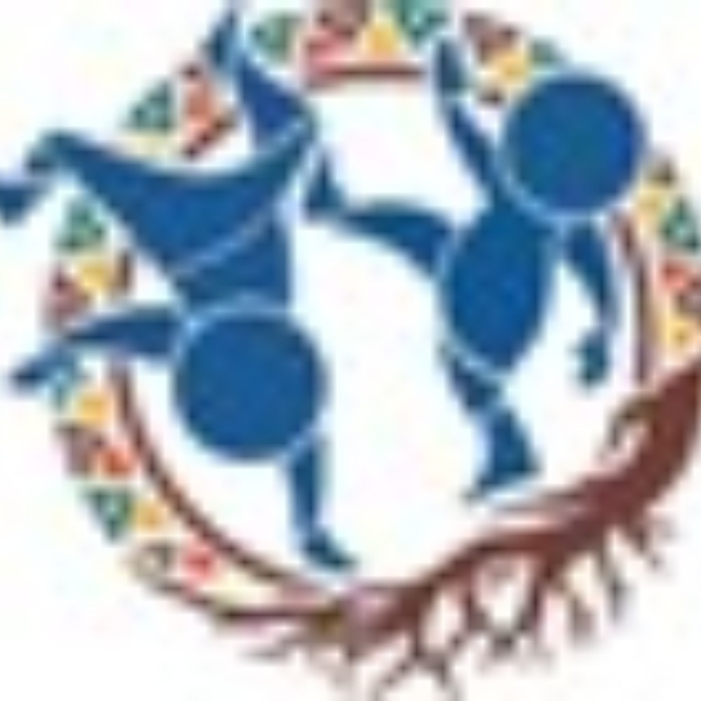 Meet your Posher, Roots Capoeira Non Profit